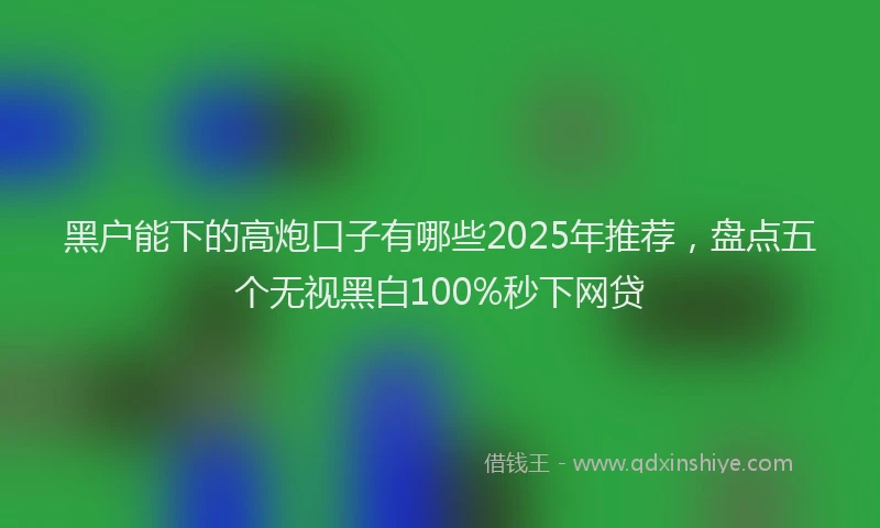 黑户能下的高炮口子有哪些2025年推荐，盘点五个无视黑白100%秒下网贷