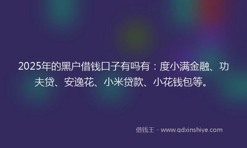 2025年的黑户借钱口子有吗有：度小满金融、功夫贷、安逸花、小米贷款、小花钱包等。