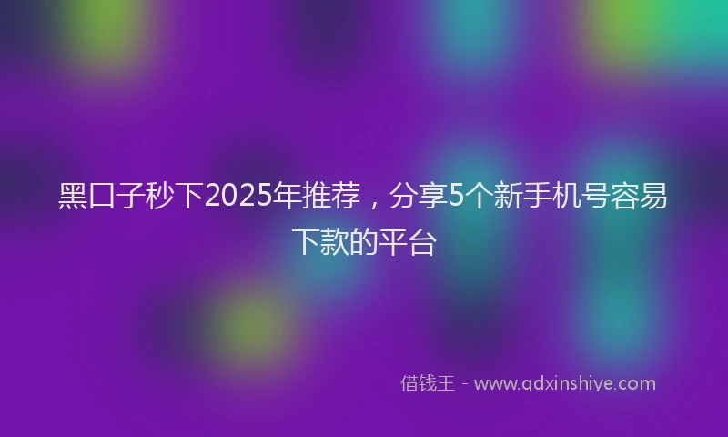 黑口子秒下2025年推荐，分享5个新手机号容易下款的平台