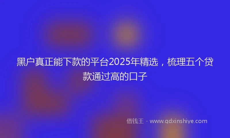 黑户真正能下款的平台2025年精选，梳理五个贷款通过高的口子