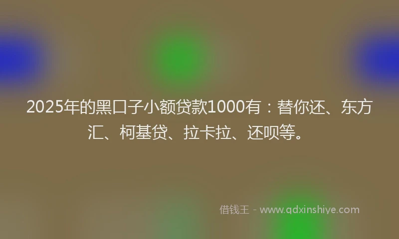 2025年的黑口子小额贷款1000有：替你还、东方汇、柯基贷、拉卡拉、还呗等。