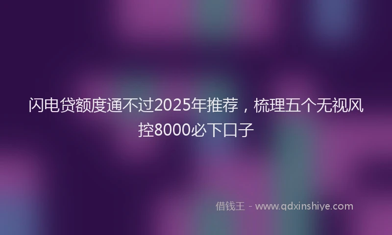 闪电贷额度通不过2025年推荐，梳理五个无视风控8000必下口子