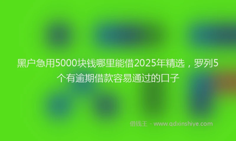 黑户急用5000块钱哪里能借2025年精选，罗列5个有逾期借款容易通过的口子