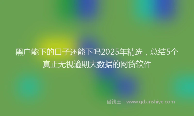 黑户能下的口子还能下吗2025年精选，总结5个真正无视逾期大数据的网贷软件
