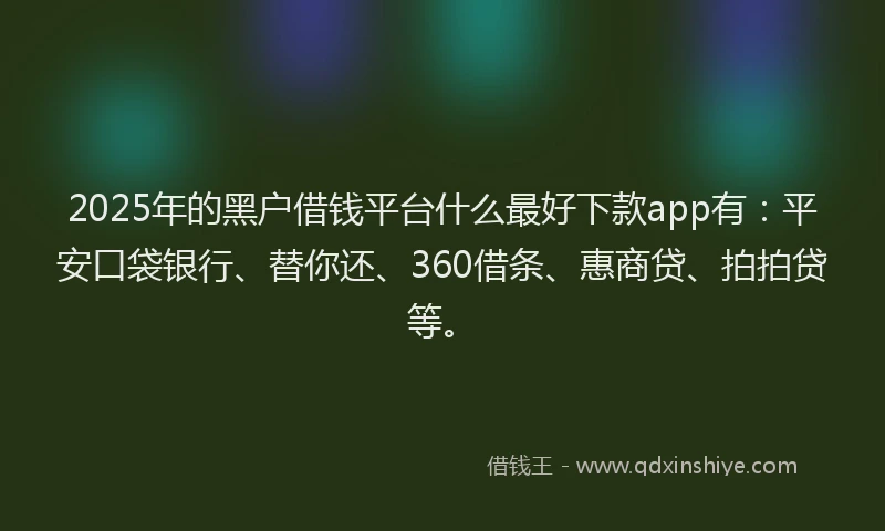 2025年的黑户借钱平台什么最好下款app有：平安口袋银行、替你还、360借条、惠商贷、拍拍贷等。