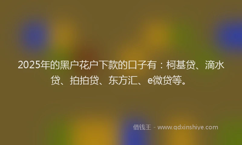 2025年的黑户花户下款的口子有：柯基贷、滴水贷、拍拍贷、东方汇、e微贷等。