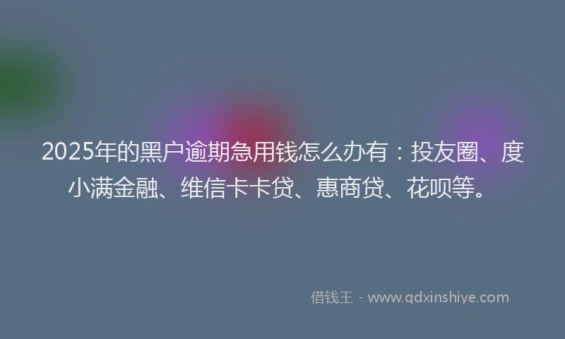 2025年的黑户逾期急用钱怎么办有：投友圈、度小满金融、维信卡卡贷、惠商贷、花呗等。