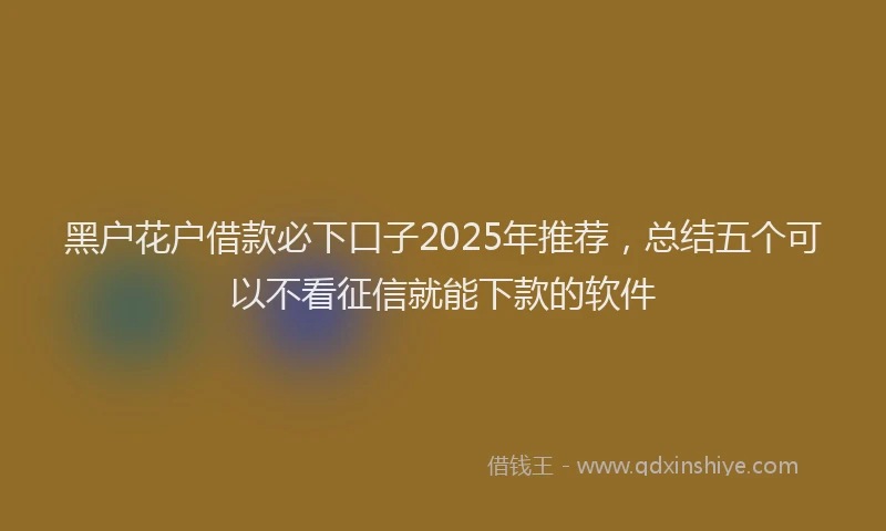 黑户花户借款必下口子2025年推荐，总结五个可以不看征信就能下款的软件