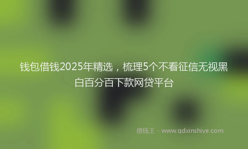 钱包借钱2025年精选，梳理5个不看征信无视黑白百分百下款网贷平台