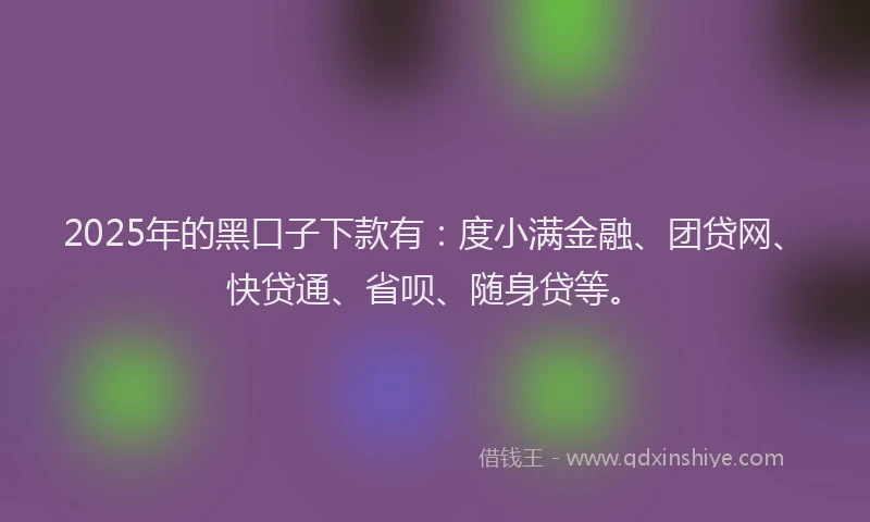 2025年的黑口子下款有：度小满金融、团贷网、快贷通、省呗、随身贷等。
