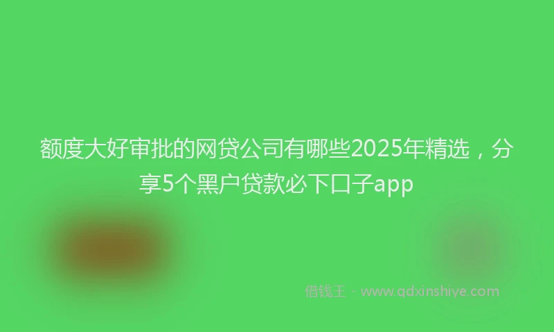 额度大好审批的网贷公司有哪些2025年精选，分享5个黑户贷款必下口子app