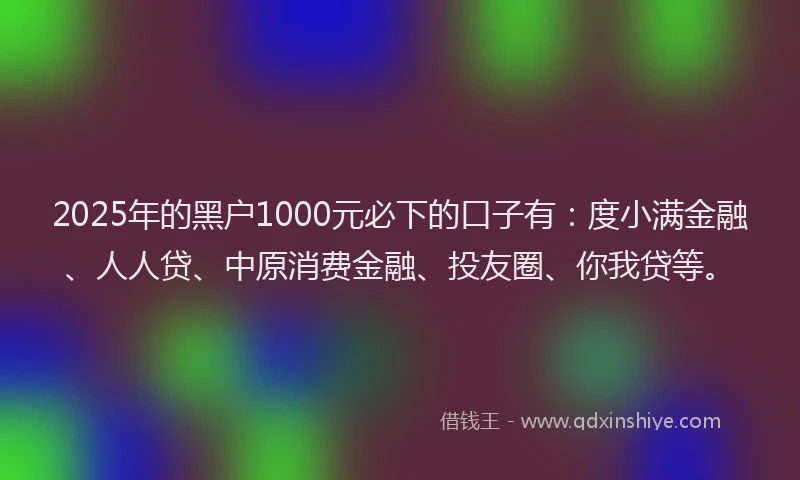 2025年的黑户1000元必下的口子有：度小满金融、人人贷、中原消费金融、投友圈、你我贷等。