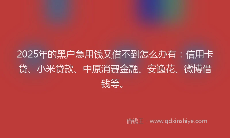 2025年的黑户急用钱又借不到怎么办有：信用卡贷、小米贷款、中原消费金融、安逸花、微博借钱等。