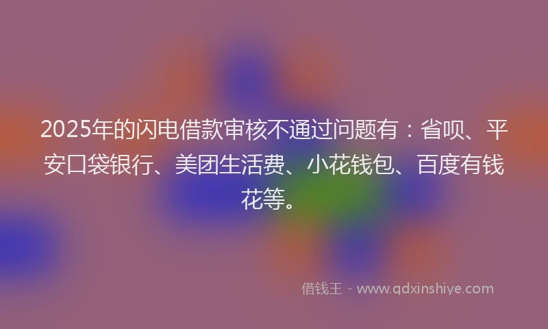 2025年的闪电借款审核不通过问题有：省呗、平安口袋银行、美团生活费、小花钱包、百度有钱花等。