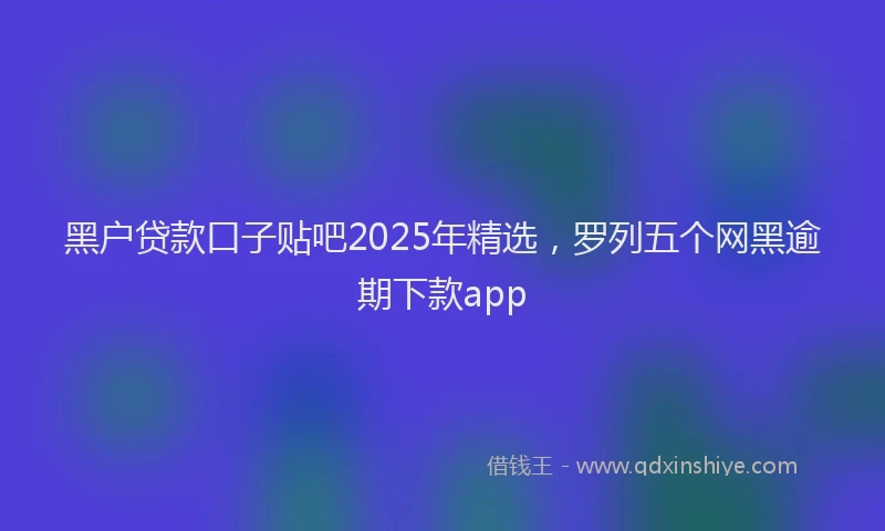 黑户贷款口子贴吧2025年精选，罗列五个网黑逾期下款app