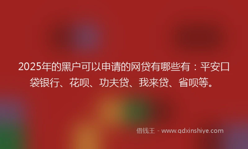 2025年的黑户可以申请的网贷有哪些有：平安口袋银行、花呗、功夫贷、我来贷、省呗等。