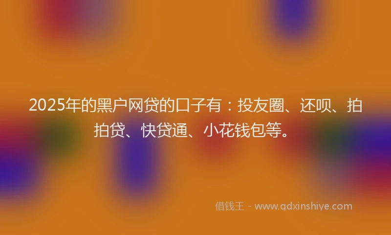 2025年的黑户网贷的口子有：投友圈、还呗、拍拍贷、快贷通、小花钱包等。