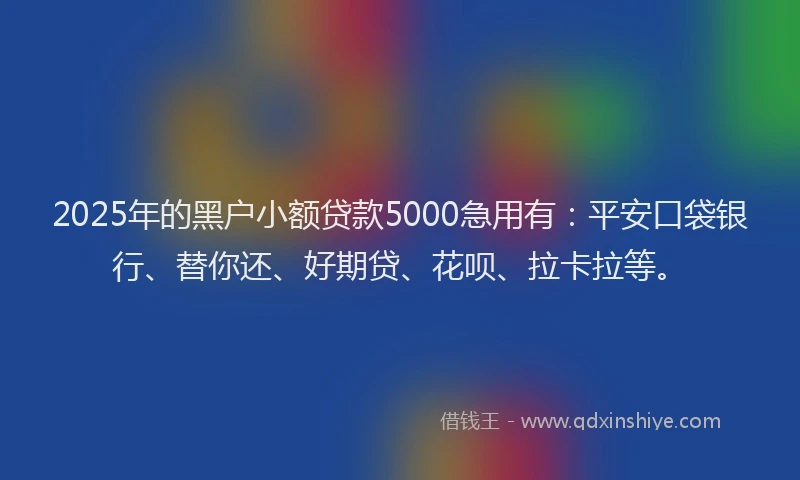 2025年的黑户小额贷款5000急用有：平安口袋银行、替你还、好期贷、花呗、拉卡拉等。