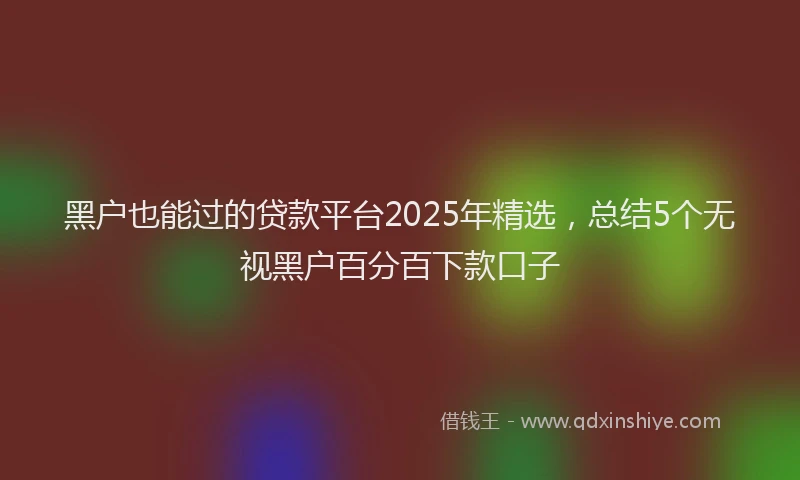 黑户也能过的贷款平台2025年精选，总结5个无视黑户百分百下款口子