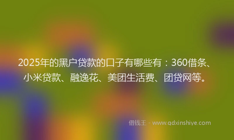 2025年的黑户贷款的口子有哪些有：360借条、小米贷款、融逸花、美团生活费、团贷网等。