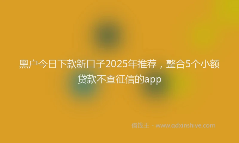黑户今日下款新口子2025年推荐，整合5个小额贷款不查征信的app