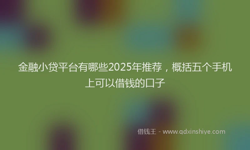 金融小贷平台有哪些2025年推荐，概括五个手机上可以借钱的口子