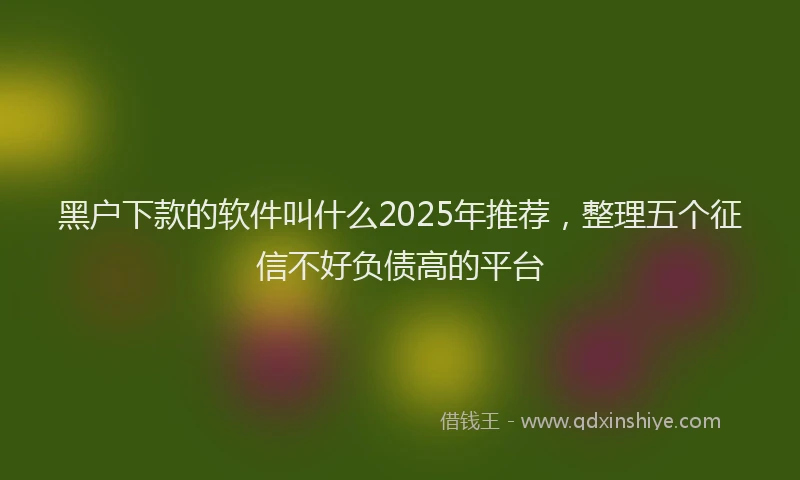 黑户下款的软件叫什么2025年推荐，整理五个征信不好负债高的平台