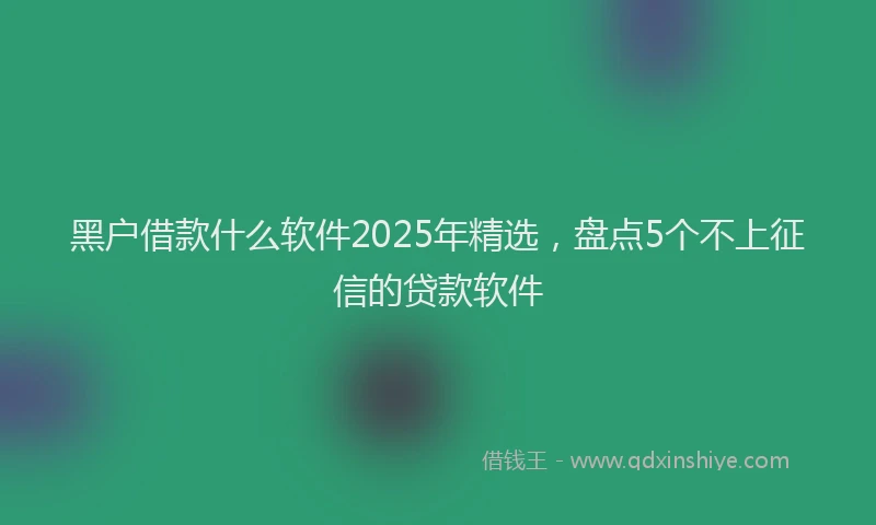 黑户借款什么软件2025年精选，盘点5个不上征信的贷款软件