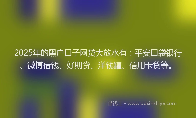 2025年的黑户口子网贷大放水有：平安口袋银行、微博借钱、好期贷、洋钱罐、信用卡贷等。