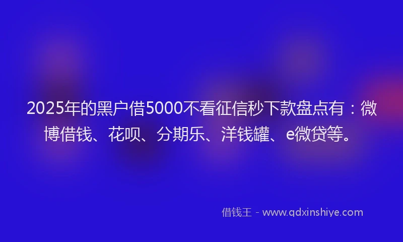 2025年的黑户借5000不看征信秒下款盘点有：微博借钱、花呗、分期乐、洋钱罐、e微贷等。