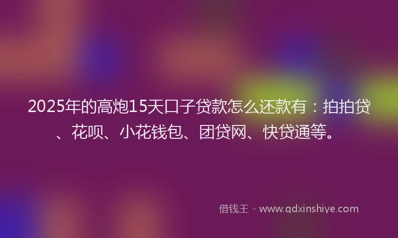 2025年的高炮15天口子贷款怎么还款有：拍拍贷、花呗、小花钱包、团贷网、快贷通等。