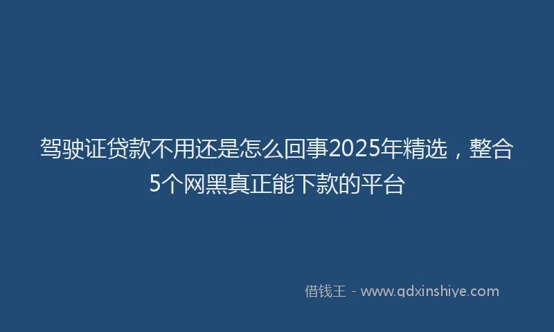 驾驶证贷款不用还是怎么回事2025年精选，整合5个网黑真正能下款的平台