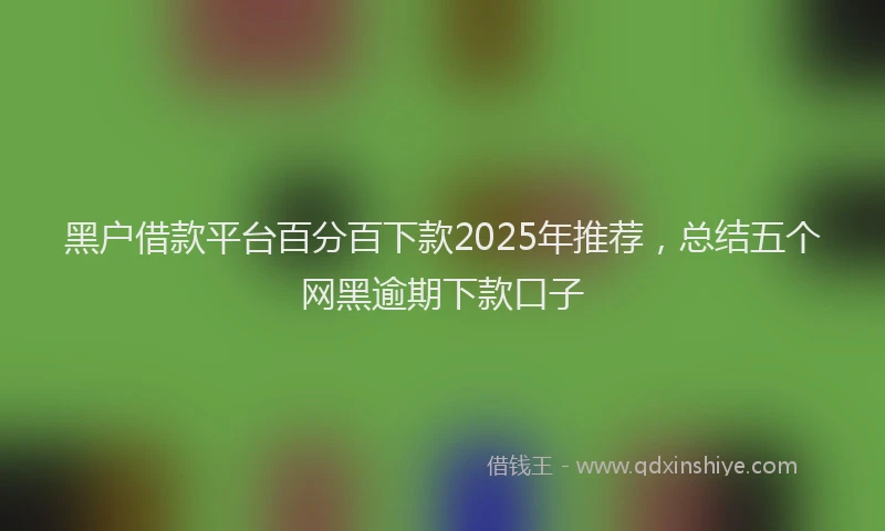 黑户借款平台百分百下款2025年推荐，总结五个网黑逾期下款口子