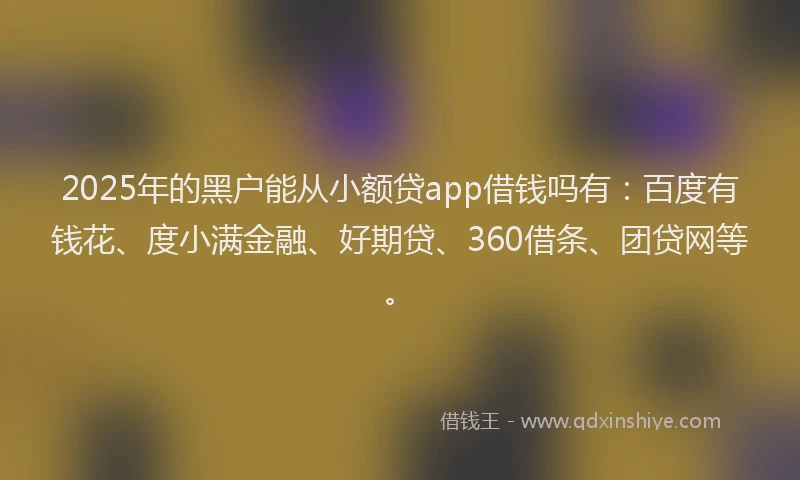 2025年的黑户能从小额贷app借钱吗有：百度有钱花、度小满金融、好期贷、360借条、团贷网等。