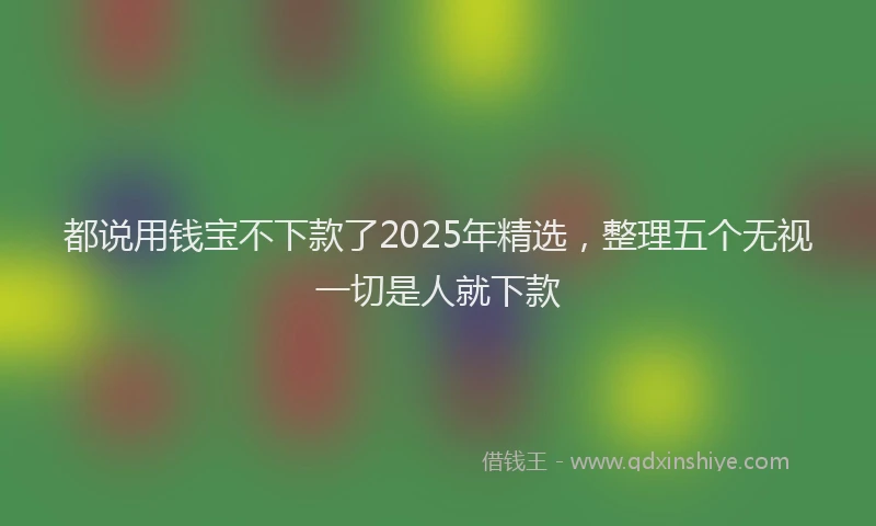 都说用钱宝不下款了2025年精选，整理五个无视一切是人就下款