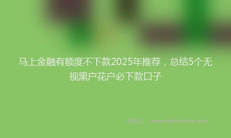 马上金融有额度不下款2025年推荐，总结5个无视黑户花户必下款口子