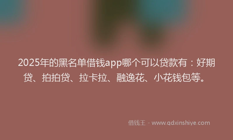 2025年的黑名单借钱app哪个可以贷款有：好期贷、拍拍贷、拉卡拉、融逸花、小花钱包等。