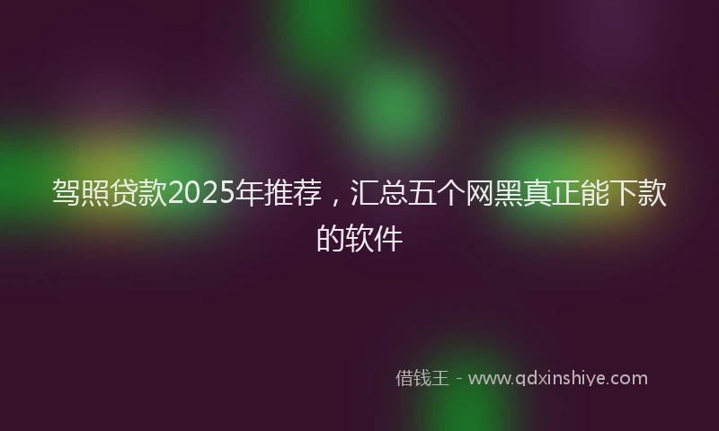 驾照贷款2025年推荐，汇总五个网黑真正能下款的软件