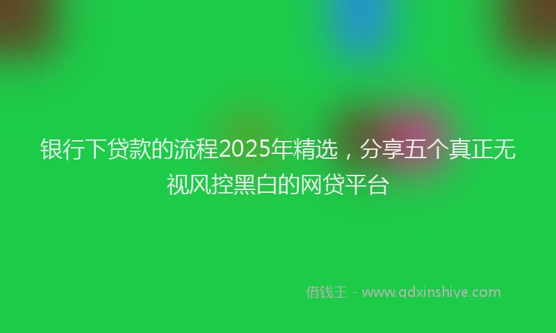 银行下贷款的流程2025年精选，分享五个真正无视风控黑白的网贷平台