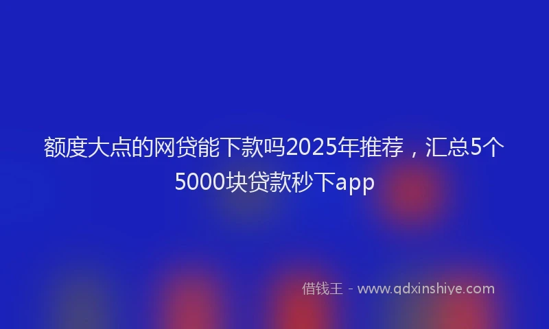 额度大点的网贷能下款吗2025年推荐，汇总5个5000块贷款秒下app