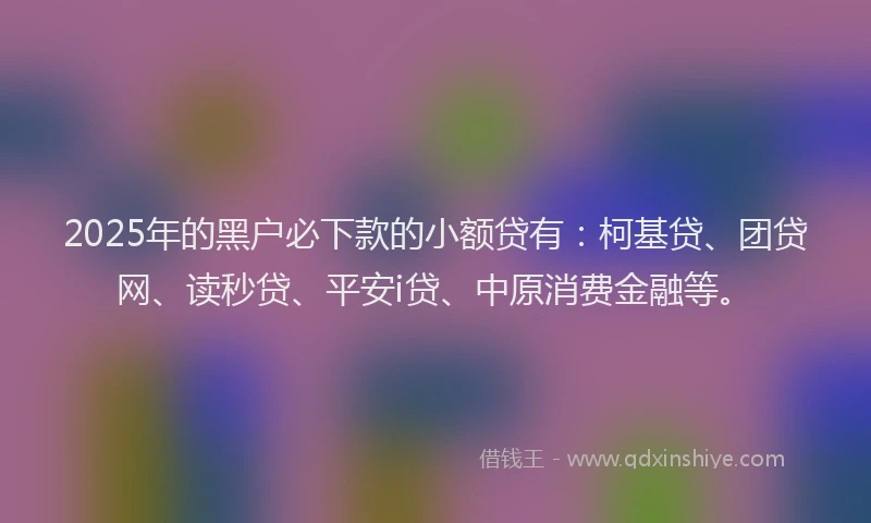 2025年的黑户必下款的小额贷有：柯基贷、团贷网、读秒贷、平安i贷、中原消费金融等。