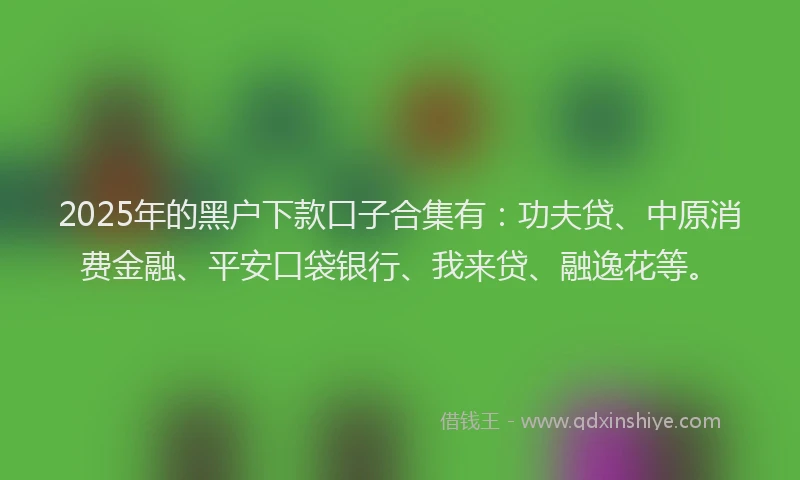 2025年的黑户下款口子合集有：功夫贷、中原消费金融、平安口袋银行、我来贷、融逸花等。
