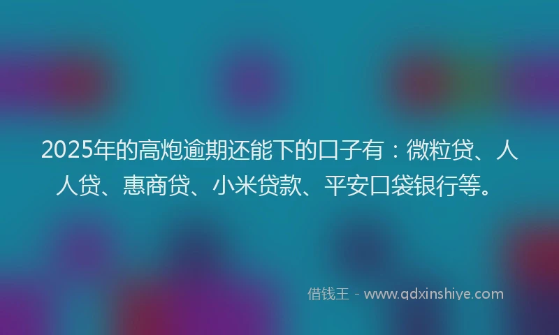 2025年的高炮逾期还能下的口子有：微粒贷、人人贷、惠商贷、小米贷款、平安口袋银行等。