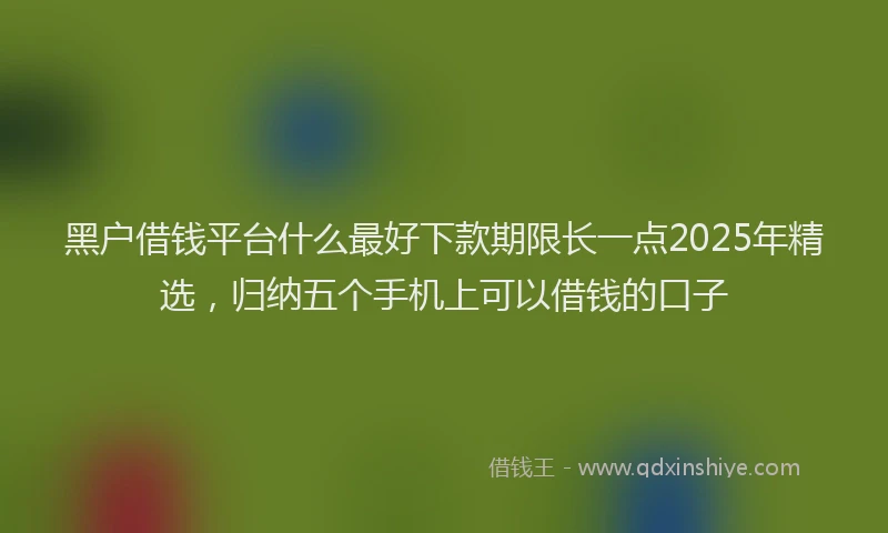 黑户借钱平台什么最好下款期限长一点2025年精选，归纳五个手机上可以借钱的口子
