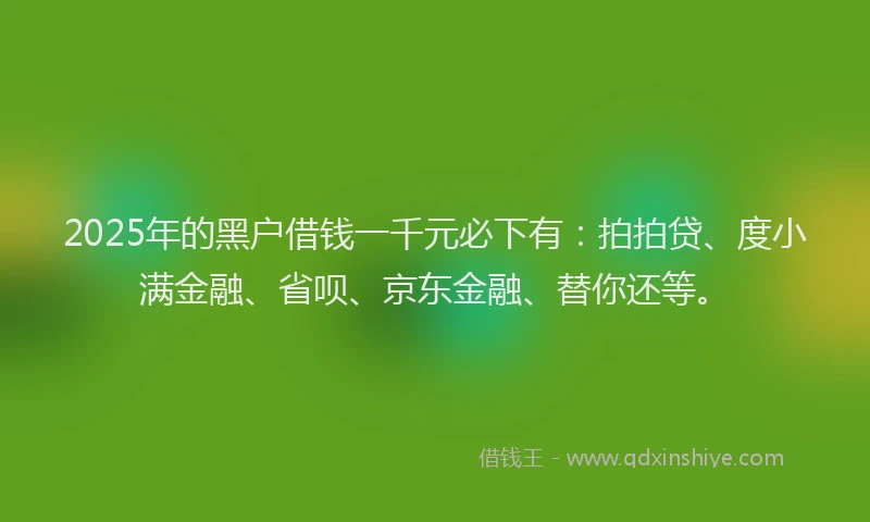 2025年的黑户借钱一千元必下有：拍拍贷、度小满金融、省呗、京东金融、替你还等。