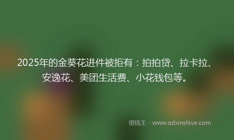 2025年的金葵花进件被拒有：拍拍贷、拉卡拉、安逸花、美团生活费、小花钱包等。