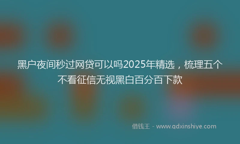 黑户夜间秒过网贷可以吗2025年精选，梳理五个不看征信无视黑白百分百下款