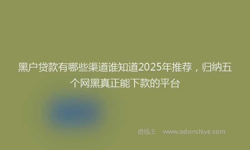 黑户贷款有哪些渠道谁知道2025年推荐，归纳五个网黑真正能下款的平台