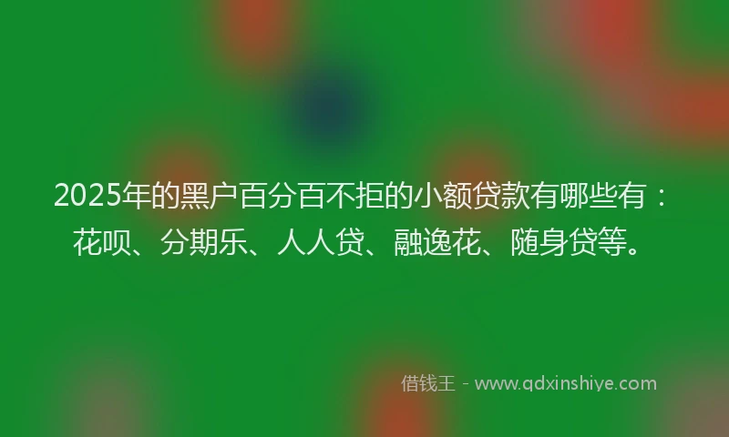 2025年的黑户百分百不拒的小额贷款有哪些有：花呗、分期乐、人人贷、融逸花、随身贷等。