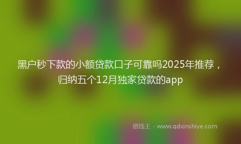 黑户秒下款的小额贷款口子可靠吗2025年推荐，归纳五个12月独家贷款的app